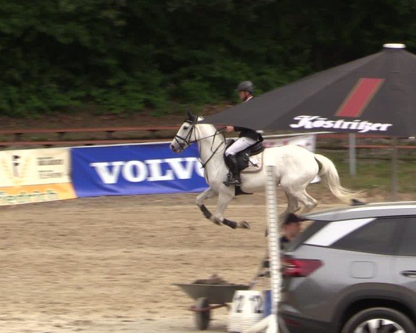 Reitturnier Lgl.-Oberhain, B95 2024
