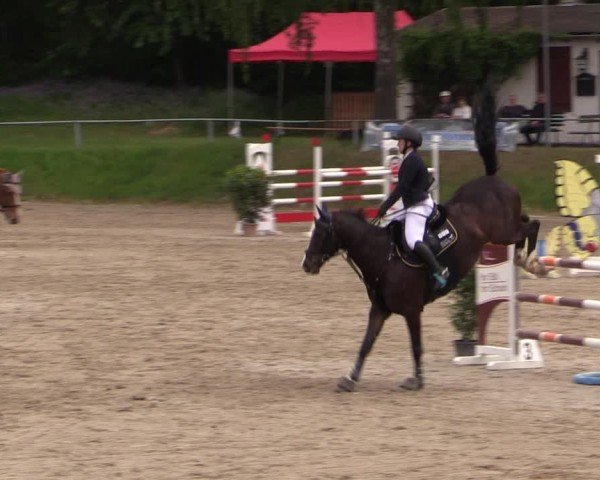 Reitturnier Lgl.-Oberhain, B95 2024