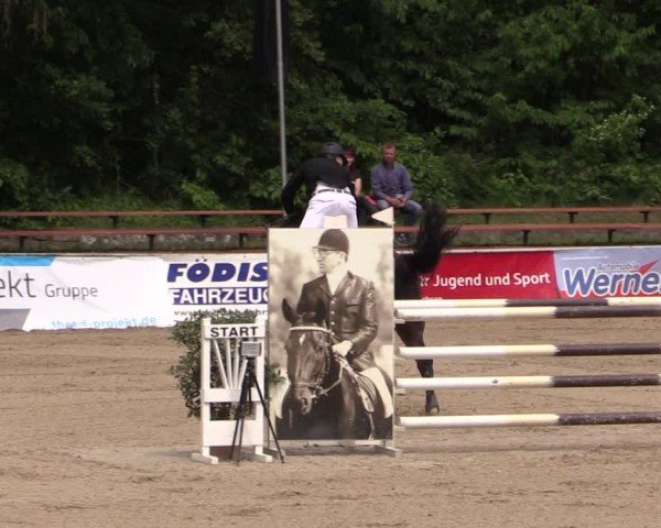 Reitturnier Lgl.-Oberhain, B95 2024