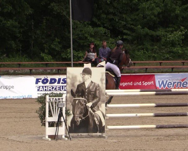 Reitturnier Lgl.-Oberhain, B95 2024