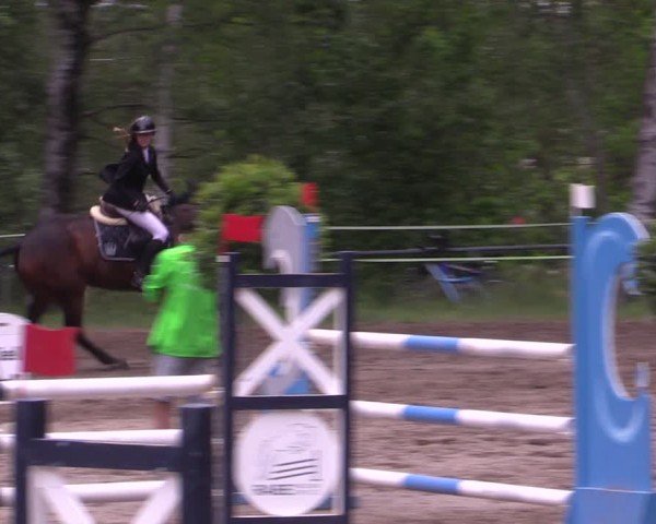 Reitturnier Lgl.-Oberhain, B95 2024
