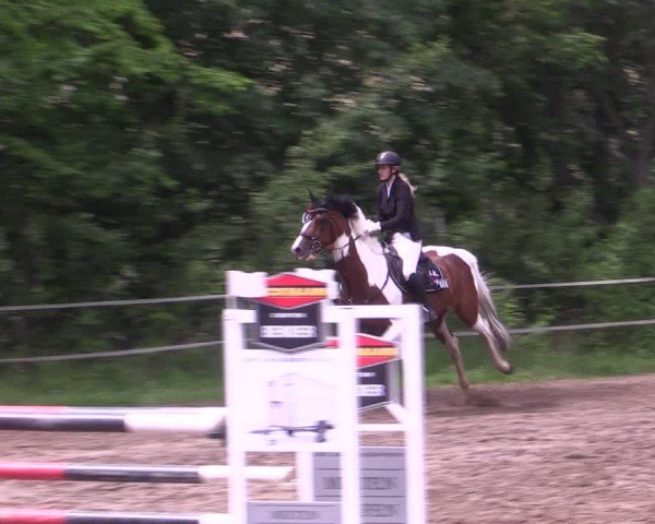 Reitturnier Lgl.-Oberhain, B95 2024