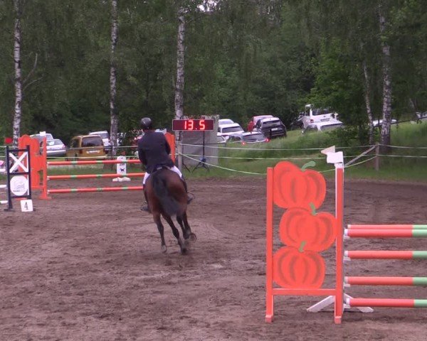 Reitturnier Lgl.-Oberhain, B95 2024