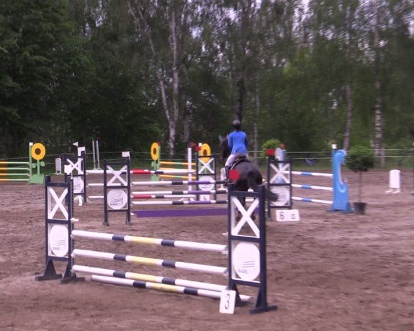 Reitturnier Lgl.-Oberhain, B95 2024