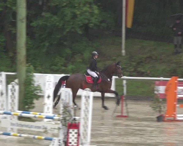 Reitturnier Siegen-Weidenau  2024