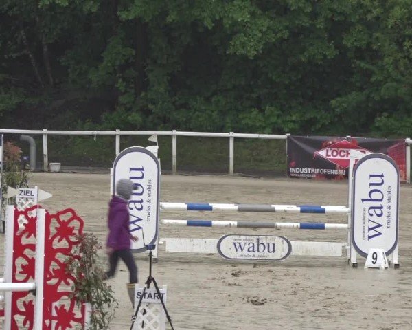 Reitturnier Siegen-Weidenau 2024