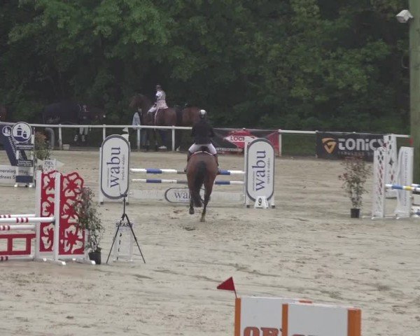 Reitturnier Siegen-Weidenau  2024