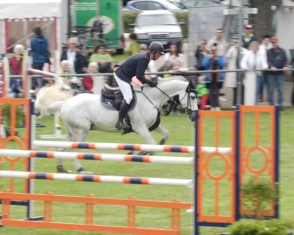 Reitturnier Forst 2024