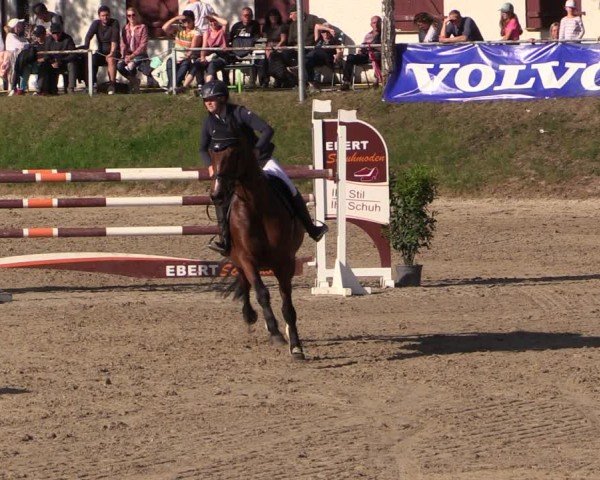 Reitturnier Lgl.-Oberhain, B95 2024