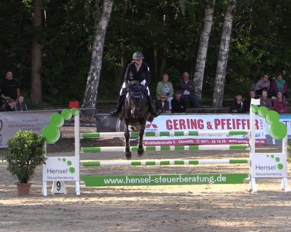 Reitturnier Lgl.-Oberhain, B95 2024