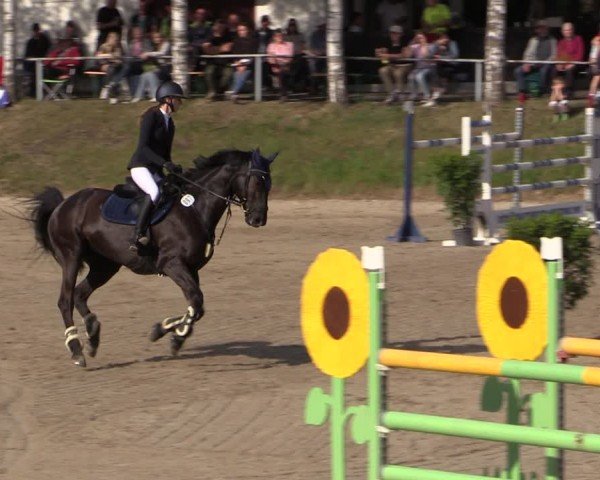Reitturnier Lgl.-Oberhain, B95 2024