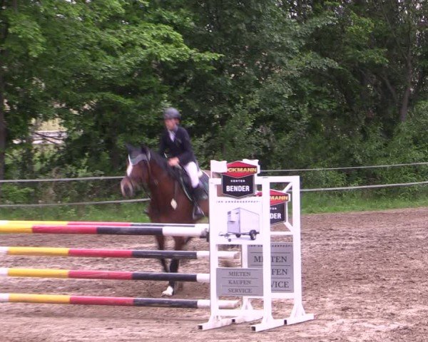 Reitturnier Lgl.-Oberhain, B95 2024