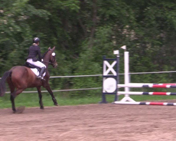 Reitturnier Lgl.-Oberhain, B95 2024