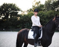dressage horse Duke of Love (Oldenburg, 2016, from Don Kennedy)