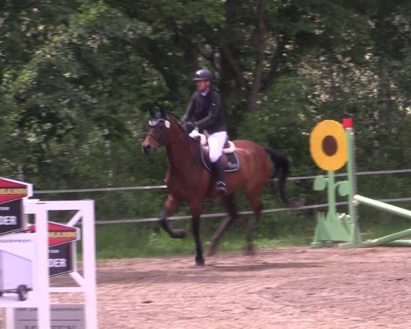 Reitturnier Lgl.-Oberhain, B95 2024