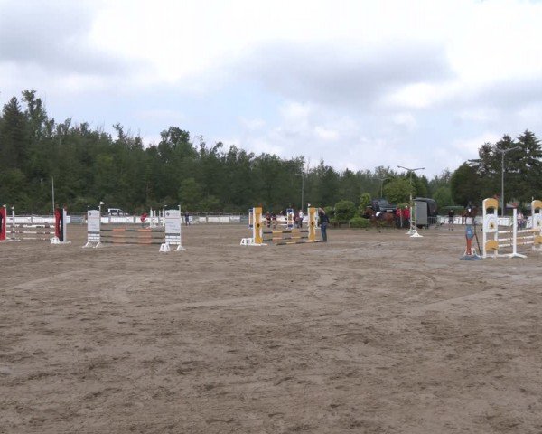 Reitturnier Frechen-Grefrath - Sonnenhof 2024