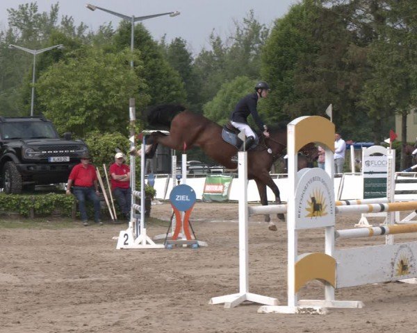 Reitturnier Frechen-Grefrath - Sonnenhof 2024