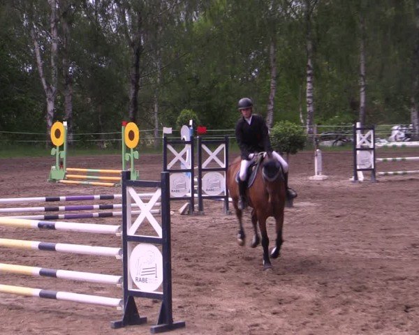 Reitturnier Lgl.-Oberhain, B95 2024
