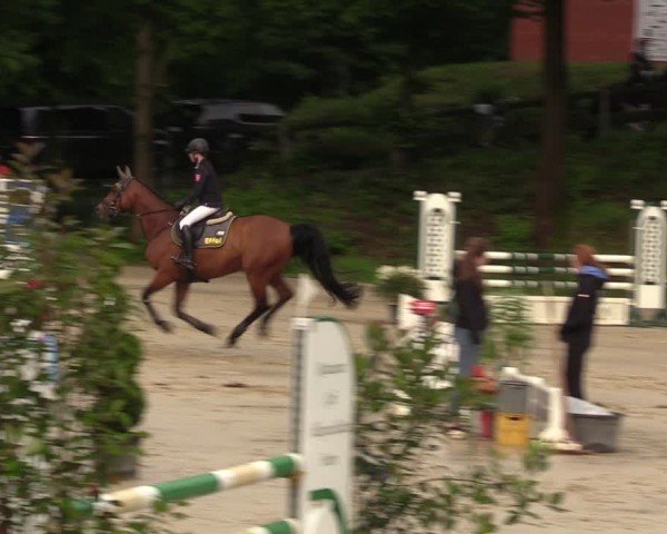 Reitturnier Iserlohn-Kalthof 2024