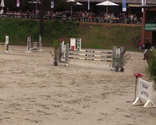 Reitturnier Iserlohn-Kalthof 2024