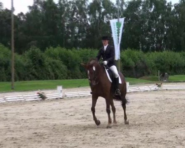 Reitturnier Münster-Roxel 2012