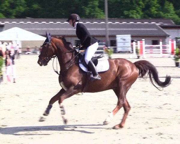 Reitturnier Kropp 2024