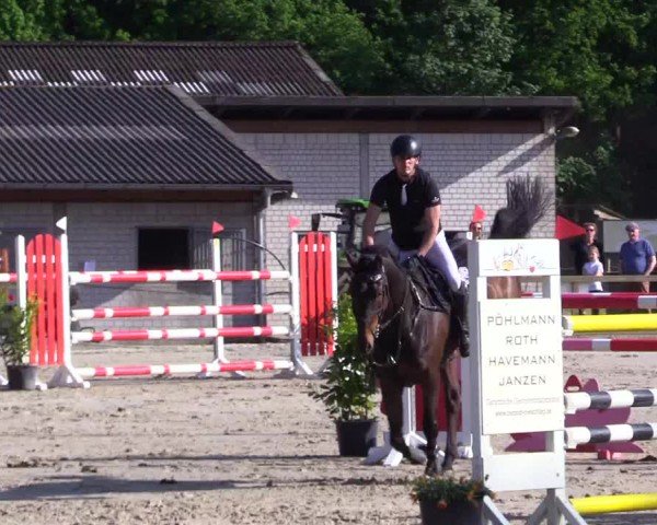 Reitturnier Kropp 2024