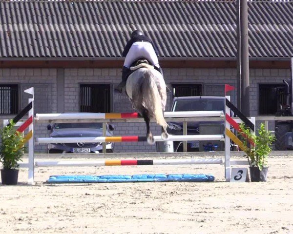 Reitturnier Kropp 2024