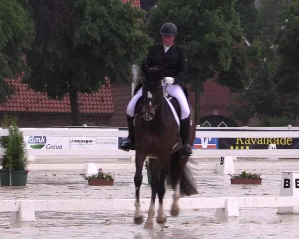 Reitturnier Everswinkel 2024