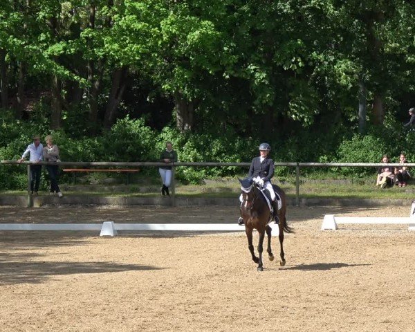 Reitturnier Königsbrunn-Ulrichshof/Schw. 2024