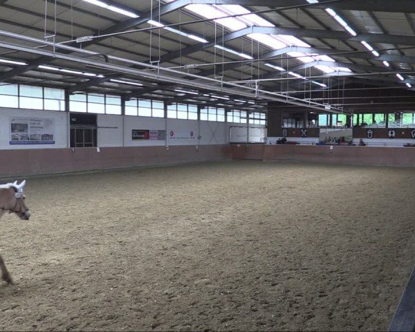 Reitturnier Leichlingen 2024