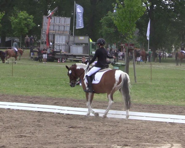 Reitturnier Blüthen 2024