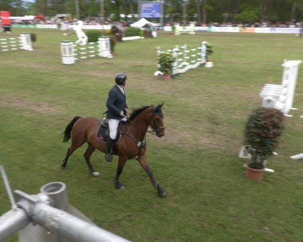 Reitturnier Cottbus-Sielow 2024