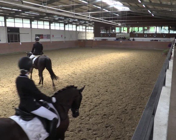 Reitturnier Leichlingen 2024