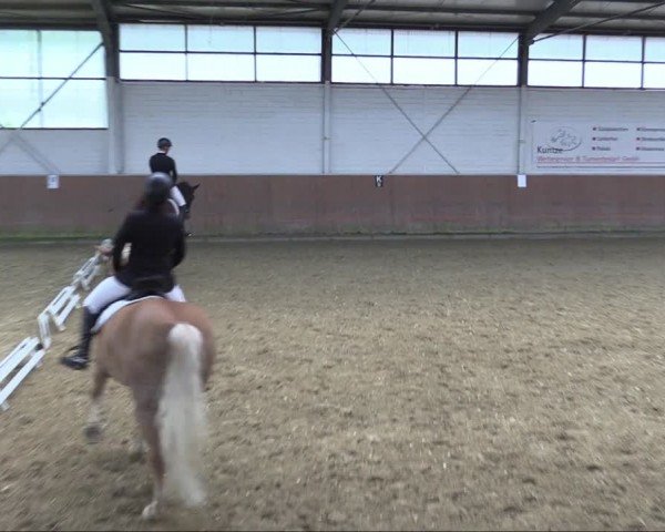 Reitturnier Leichlingen 2024