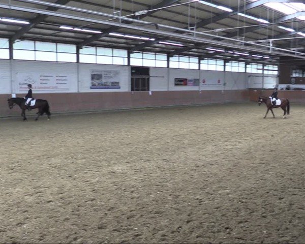 Reitturnier Leichlingen 2024