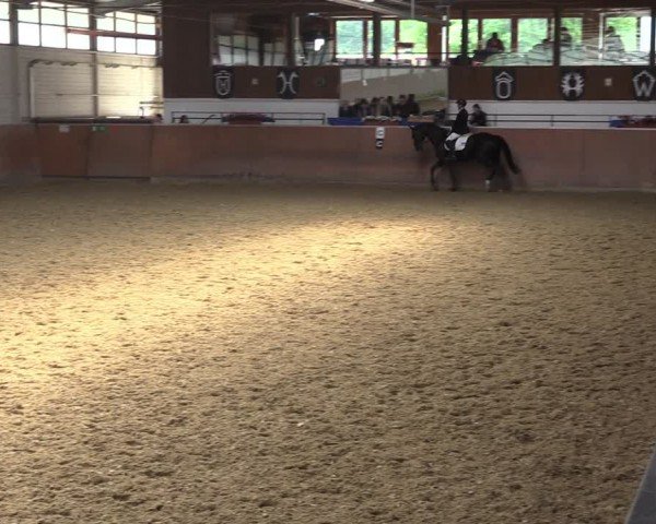Reitturnier Leichlingen 2024