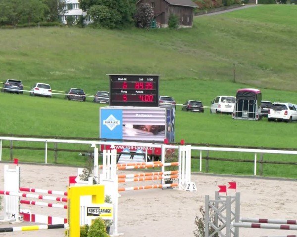 Reitturnier Rüti 2024