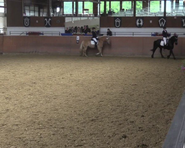 Reitturnier Leichlingen 2024