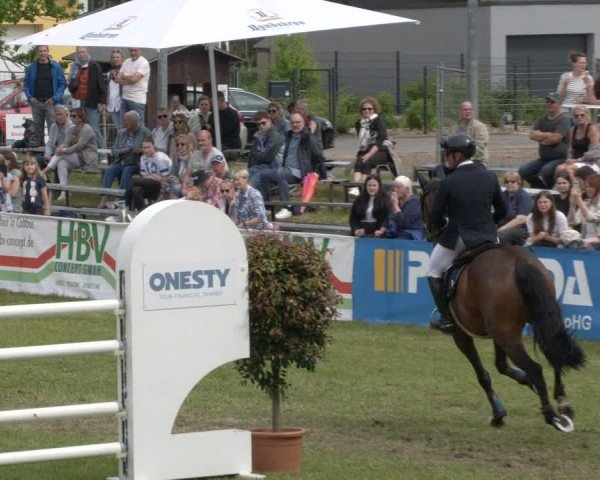 Reitturnier Cottbus-Sielow 2024