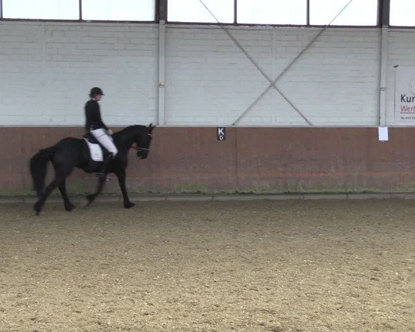 Reitturnier Leichlingen 2024