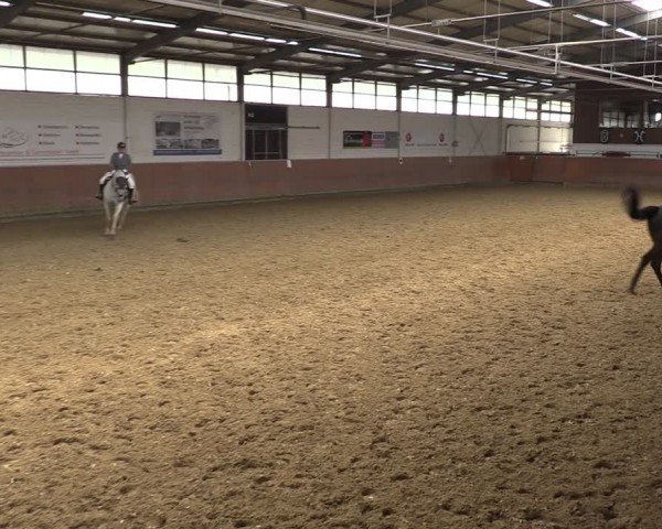 Reitturnier Leichlingen 2024