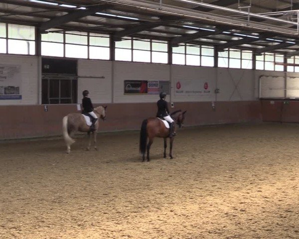Reitturnier Leichlingen 2024