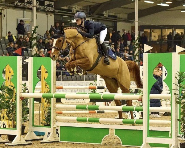 jumper Pocahontas GS (Hanoverian, 2019, from Perigueux)