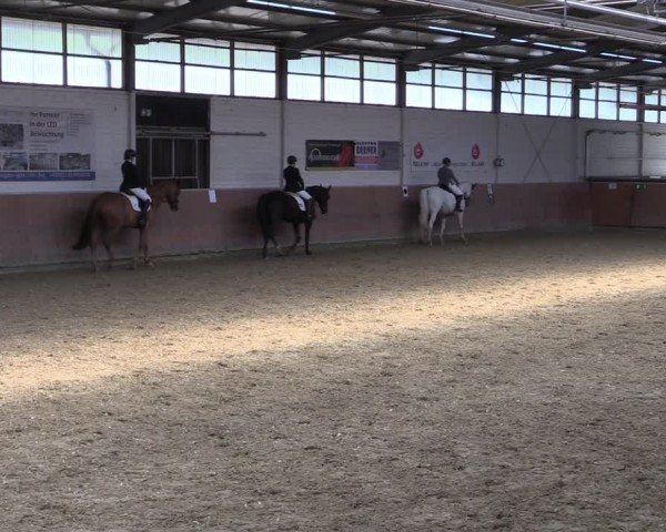 Reitturnier Leichlingen 2024
