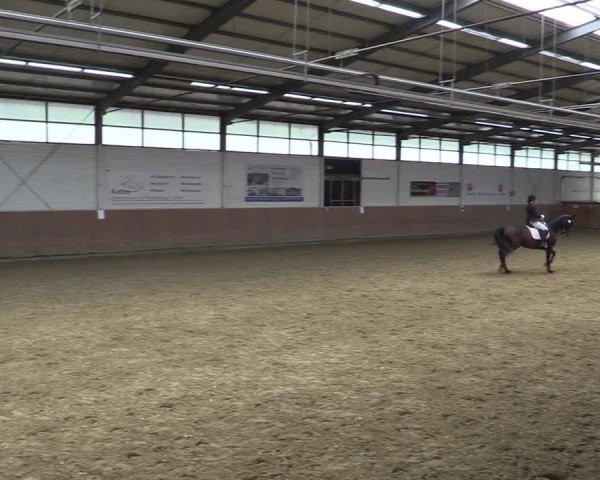 Reitturnier Leichlingen 2024