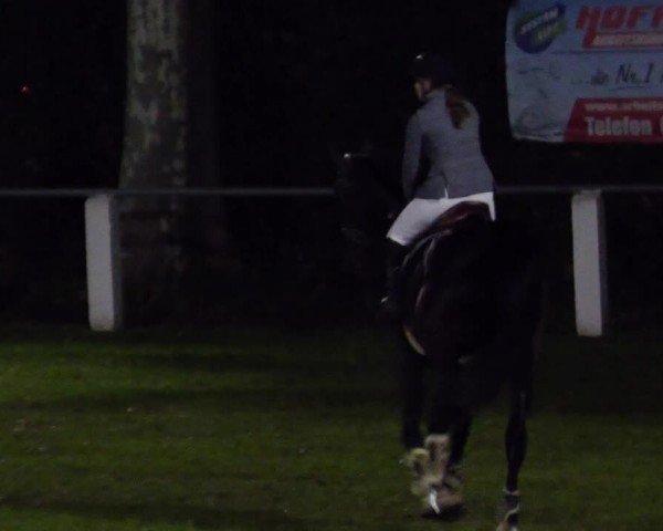Reitturnier Forst 2024