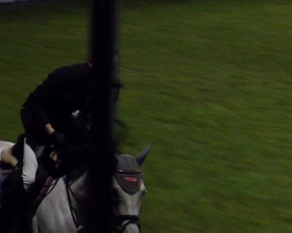 Reitturnier Forst 2024