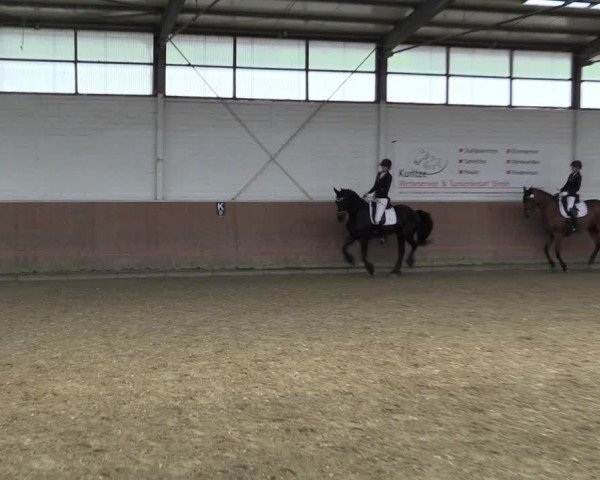 Reitturnier Leichlingen 2024