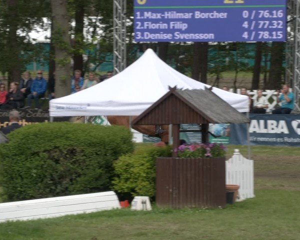 Reitturnier Cottbus-Sielow 2024